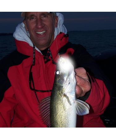 Missmisq Drop Fishing Lights | Waterproof Night Fishing Bait Light for Sweet & White Fish - Buy Online on GoSupps.com