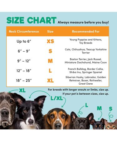 BENCMATE Inflatable Pet Recovery Collar - Soft E-Collar for Dogs & Cats | Vision-Friendly & Comfortable - Buy Online on GoSupps.com