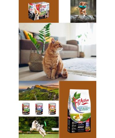 Fit Active - Hypoallergenic food for adult dogs with sensitive stomach/intestines - Dog food with rabbit (4 kg) - Buy Online on GoSupps.com