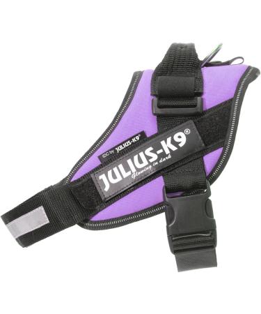Buy IDC Powerharness M/0 - Violet | International Shipping | Best Quality Dog Harness - Buy Online on GoSupps.com