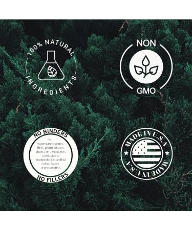 Barlowe's Herbal Elixirs Omegia Seaberry | Sea Buckthorn | Complete Omega 3, 6, 7, 9 Fatty Acids | 500mg Per Capsule | 60 Veggie Capsules | Glass Bottle | Stearate Free - Buy Online on GoSupps.com