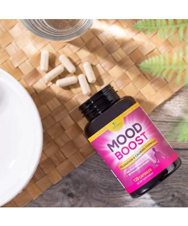 Calm Support Supplement - 1000mg Herbal Formula with Ashwagandha, L-Theanine & GABA for Natural Stress Relief & Relaxation - 120 Capsules - Buy Online on GoSupps.com