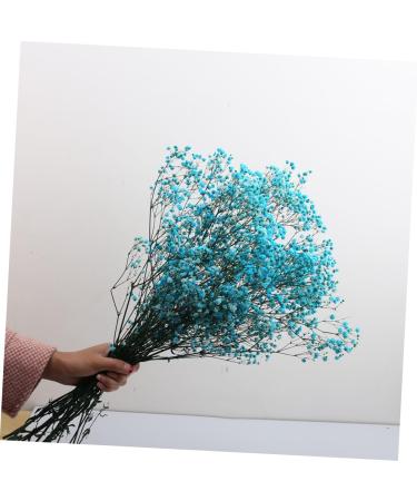 2pcs Plant Decor Gifts Dried Flowers The Gift Dried Flower Decor Creative Preserved Flower Preserved Flower Decor Romantic Preserved Flower Artificial Gypsophila Bluex2pcs 60X20cmx2pcs - Buy Online on GoSupps.com