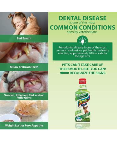 Dental Fresh Water Additive for Pets - Clinically Proven Whitening Formula - 8 fl.oz - Buy Online on GoSupps.com