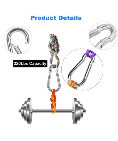 Mixiflor Stainless Steel Swivel Eye Snap Hook Set - 5pcs Flag Pole Clips & Carabiner Diving Clips for Bird Feeders, Pet Chains, and More - Buy Online on GoSupps.com