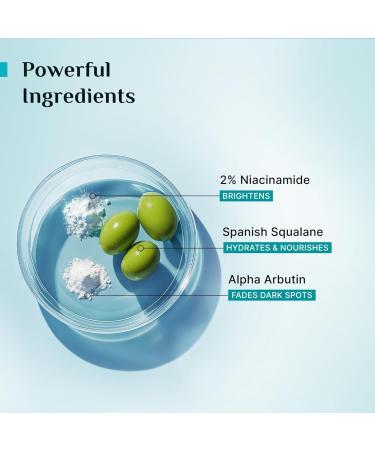 Pilgrim 2% Niacinamide Gel Sunscreen SPF 50+ PA++++ | Lightweight Broad Spectrum UV Protection for Face | Non-Greasy Fast Absorbing Daily Sunscreen | 1.76 Oz (50g) - Buy Online on GoSupps.com