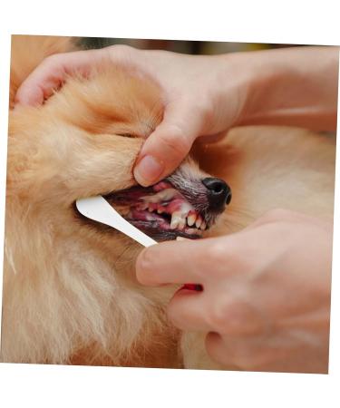 Happyyami 5pcs Pet Toothbrush Oral Cleaning Toothbrush Dog Toothbrushes Pet Supplies Toothpaste Small 1 count (Pack of 1) Whitex5pcs - Buy Online on GoSupps.com
