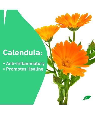 PROcure Hydrocortisone Cream with Calendula - 1 oz - Buy Online on GoSupps.com