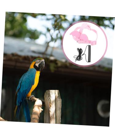 Angoily 4 Sets Bird Leash Suspend Trains Parrot Adjustable Harness Chicken Harness Car Supplies Clothing 12X6X1.3CMx4pcs Pinkx4pcs - Buy Online on GoSupps.com