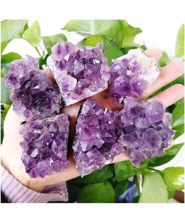 80-100g 1-6PCS Natural Uruguay Amethyst Cluster Cave Pieces of Original Stone Specimens Placed (Size : 6pcs) - Buy Online on GoSupps.com