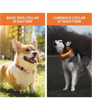 Luminous Dog Collar - Waterproof LED Light Neck Band for All Sizes | 7 Color Change - Night Safety for Dogs (Orange L - 48-60cm) - Buy Online on GoSupps.com