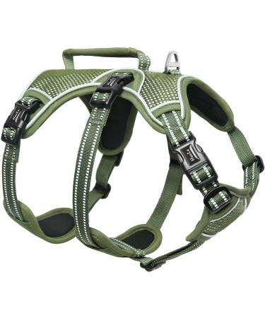 Heele dog dishes breakout buckle in the neck area reflective breast dishes with a robust handle panic crockery dog dog harness stable impression fits like a glove green S S green green - Buy Online on GoSupps.com