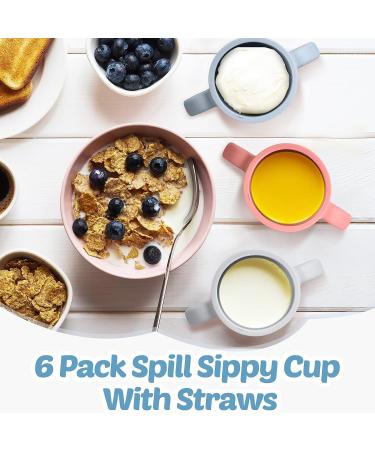 Eaasty 6oz Baby Silicone Sippy Cup Set - Spill Proof Toddler Training Cup with Straw Lid - BPA-Free Infant Straw Cup - Buy Online on GoSupps.com