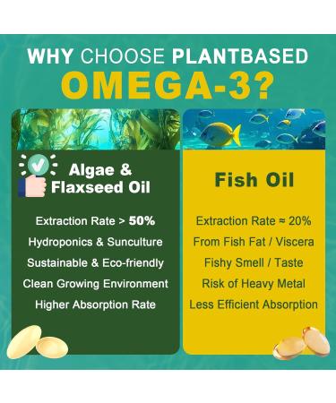 2 Pack Vegan Omega 3 D3 K2 CoQ10 Supplement Plant Based DHA EPA ALA for Women Men Omega 3 Organic Algae Flaxseed Oil Supplement for Bone Brain Eye & Immune Support No Carrageenan 240 Softgels 120 Count (Pack of 2) - Buy Online on GoSupps.com