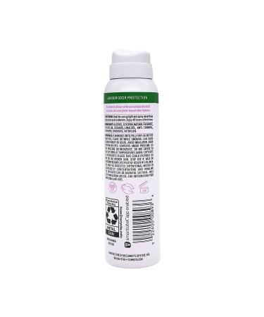 SCHMIDTS Clean Powder Deodorant Spray 3.2 OZ - Natural Odor Protection - Buy Online on GoSupps.com