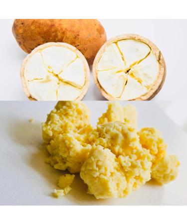 Buy Pure Cupuacu Butter - Natural Vegan Butter for DIY Body Butters Lotions & Soaps (16 oz) - Creamy & Fresh International Shipping - Buy Online on GoSupps.com