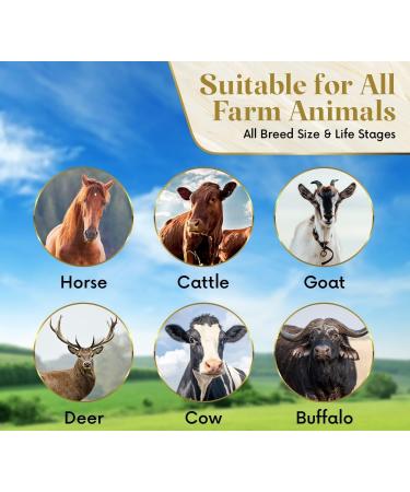 Pure Natural Himalayan Salt Horse Licks Organic Pink Crystal 2-2.5kg each approx with Hanging Rope 8 Count (Pack of 1) - Buy Online on GoSupps.com