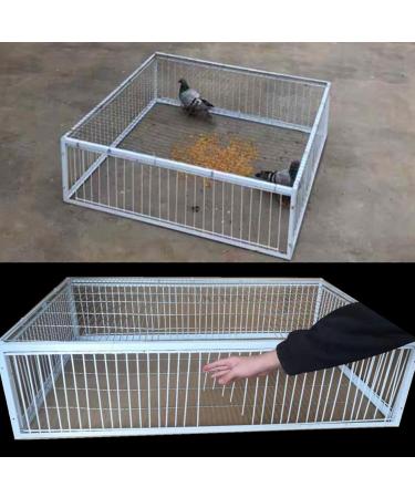 Pigeon Loft Door Pigeon Entrance Door Trap Door Pigeon House Door Racing Supplies Pet Bird Supply Product Bird cage Door - 60cm/24in - Buy Online on GoSupps.com