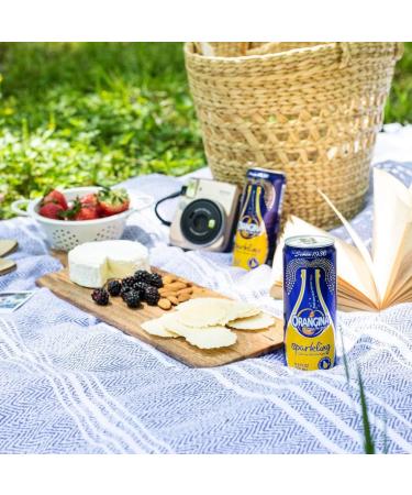 ORANGINA Sparkling Citrus Beverage Original All-Natural 330ml Slim Can 4x6pk 24 Count - Buy Online on GoSupps.com
