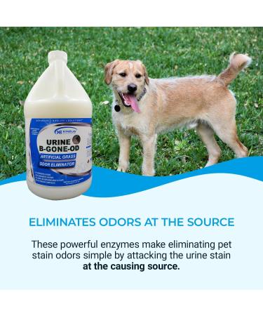 Urine B-Gone-OD: Professional Pet Urine Enzyme Cleaner & Odor Eliminator for Artificial Grass Concrete - 1 Gallon (128 Fl Oz) - International Shipping Available - Buy Online on GoSupps.com