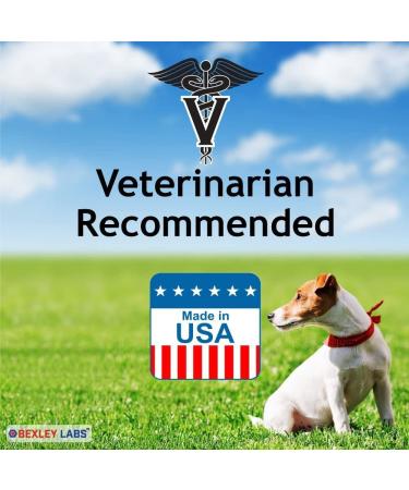 Curaseb Chlorhexidine 4% Shampoo for Dogs & Cats - 12 Oz | Maximum Veterinary Strength Formula - Buy Online on GoSupps.com