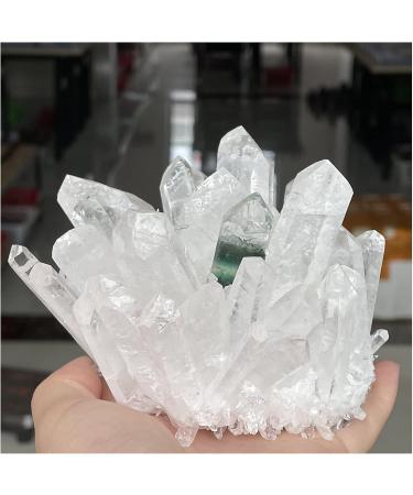 Natural Crystal Rough Natural Crystal Quartz Cluster Stone Minerals Great for Home Decoration Reiki (Size : 900-1000g) - Buy Online on GoSupps.com