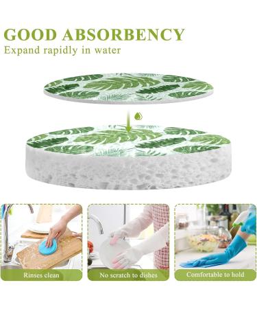 3-Pack Cleaning Kitchen Sponges Oval Plam Tress Leaves Kitchen Cellulose Dishwashing Wood Pulp Cotton - Buy Online on GoSupps.com
