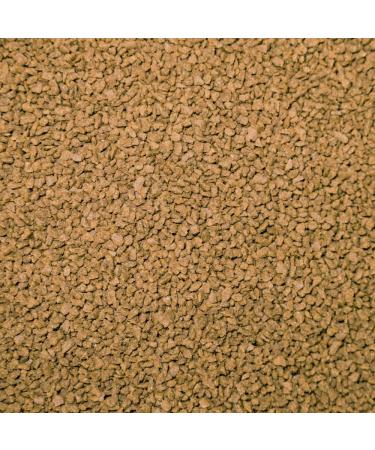 Dupla Rin M Dosing Food for Aquariums 65 ml - Buy Online on GoSupps.com