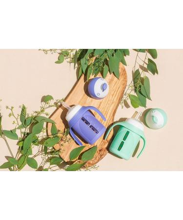 Glass Sippy Cup Set for Toddlers - 5oz - Spill-Proof Silicone Straw - Mint Green & Indigo Purple - BPA-Free - Buy Online on GoSupps.com
