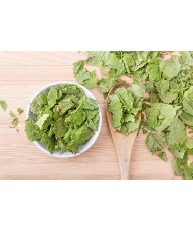Common Birch Leaf Tea | Feuille De Bouleau Tisane | Folium Betulae | Health Embassy (100g) - Buy Online on GoSupps.com