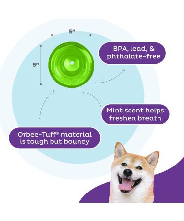 Planet Dog Orbee-Tuff Snoop Interactive Treat Dispensing Dog Toy - Large Green - Eco-Friendly Engaging Play for All Breeds - Buy Online on GoSupps.com