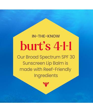 Burt's Bees SPF 30 Lip Balm Island Getaway 3-Pack 0.15 oz & Vanilla Bean Lip Balm 2-Pack 0.15 oz - Buy Online on GoSupps.com