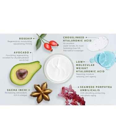 Aphrodite Anti-Wrinkle & Anti-Pollution Night Cream. Daily night care to soothe skin and improve skin elasticity (50 ml / 1.70 fl oz) - Buy Online on GoSupps.com