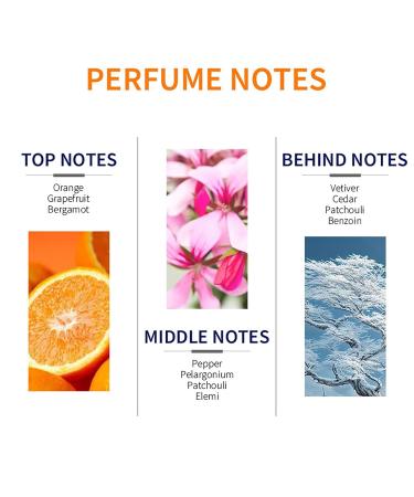 Perfume Subtle Long Lasting Eau De Parfum Fruity Beauty Products Suitable for Special Occasions Perfume Gift for Men 8.4x4.4x12cm White - Buy Online on GoSupps.com