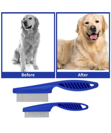 Premium Tiesome Pet Hair Grooming Kit - 2-in-1 Stainless Steel Double-Sided Comb & Massage Comb | Multi-functional Trunk for Dogs | Blue - Buy Online on GoSupps.com