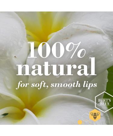 Burt's Bees Lip Scrub with Honey Crystals - 100% Natural Exfoliator for Dry Lips - Overnight Treatment - 0.25 Ounce (Pack of 1) - Buy Online on GoSupps.com