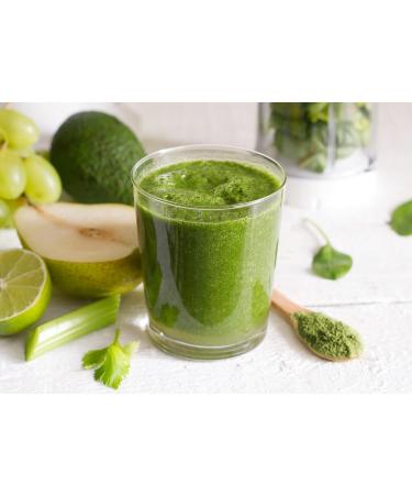 Food to Live Organic Alfalfa Powder 12 Ounces - Non-GMO Made from Raw Dried Whole Young Leaves Vegan Bulk Great for Baking Juices Smoothies Shakes Tea Drinks. for Dietary Fiber and Protein 12 Ounce (Pack of 1) - Buy Online on GoSupps.com