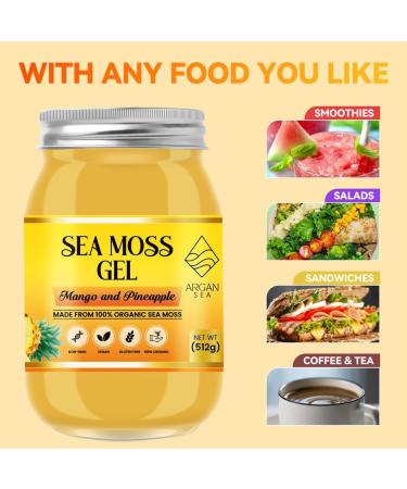 Mango & Pineapple Sea Moss Gel (500G) by ArganSea | Natural and Organic Made with Fresh Wildcrafted Irish Sea Moss from St Lucia | Dr Sebi Approved | 92 Vitamins Immune Boost Superfood - Buy Online on GoSupps.com