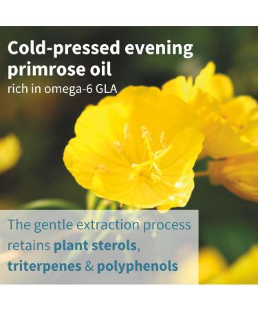 Igennus Vegepa Omega 3 Wild Fish Oil & Evening Primrose Oil Blend, 560 mg EPA Plus GLA, 60 Small Softgels Unflavored 60 Count (Pack of 1) - Buy Online on GoSupps.com