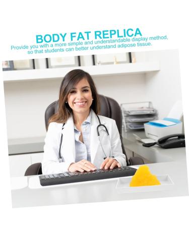 PartyKindom Nutritionist Fat Model Models Body Fat Display Replica Fat 1lb 1-Pound Body Fat Replica Fitness Human Body Base - Buy Online on GoSupps.com