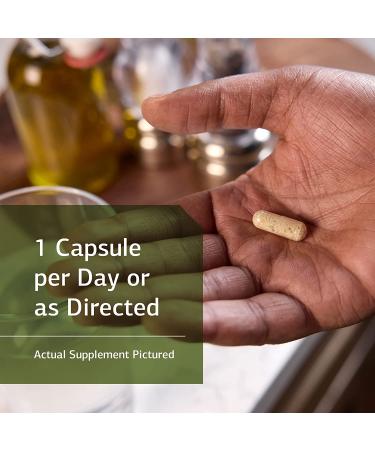 Standard Process Organic Garlic Capsules - Immune and Lung Health Support with Organic Parsley - 90 Gluten-Free Capsules - Buy Online on GoSupps.com