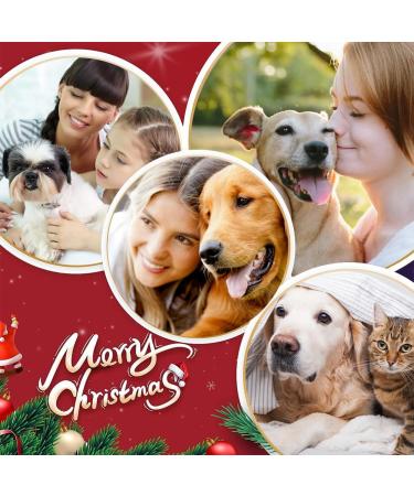 2PCS Washable Dog Christmas Bandana Set for Small Medium Pets - Festive Triangle Scarf for Dogs & Cats - Holiday Accessories & Party Decoration - Buy Online on GoSupps.com