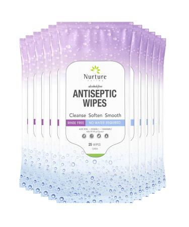 Antibacterial Hand & Body Sanitizing Bathing Wipes (10 Pack) | 250 Large Alcohol Free Disposable Antiseptic Adult Sponge Bath Cleansing Wipes - No Shower or Rinse - Bedridden Elderly Post Surgery Gym