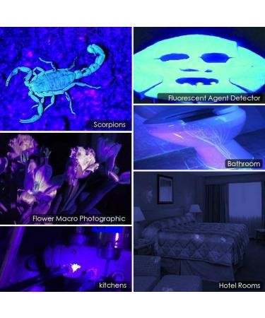 UV Black Light 51 LEDs Flashlight - Mini UV Detector for Pet Urine Scorpion and Fake Banknotes - 395nm Ultraviolet Torch - Buy Online on GoSupps.com