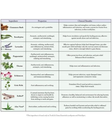 Dental Herb Company Essentials Toothpaste Traveler 12 Pack with Bamboo Toothbrush - Set of 12 - Buy Online on GoSupps.com