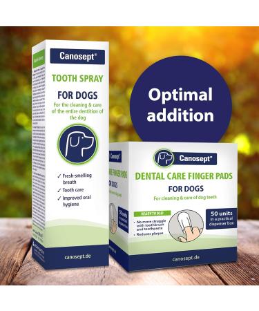 Canosept Dental Care Spray for Dogs 100ml - dog breath freshener - dog dental spray - dog mouthwash - plaque remover for dogs teeth - Dog teeth cleaning products for dental care and oral hygiene 100 ml (Pack of 1) - Buy Online on GoSupps.com