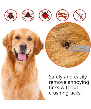 iJiZuo 2-in-1 Professional Tick Tweezers and Tick Hooks Reliable Against Ticks of Any Size Tick Remover for Humans Dogs Cats (with Leather Bag) - Buy Online on GoSupps.com