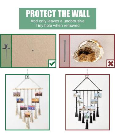 Assenic 32PCS Double Headed Picture Hanger Nails - Ideal for Hanging Photos, Clocks, and Keys - Home, Office, and School Decoration - Buy Online on GoSupps.com