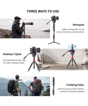 Avella CD324 Carbon Fiber Video Monopod Kit with Fluid Head | 71 Inch | 13.2 LB Max Load | For Canon Nikon Sony Olympus Panasonic DSLR Camera - Buy Online on GoSupps.com