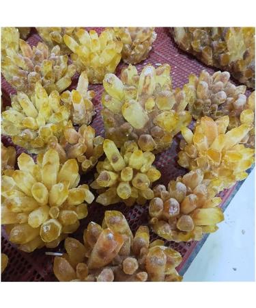 Natural Crystal Rough Stone Crafts Natural Citrine Phantom Quartz Crystal Cluster Specimen (Size : 500-600g) - Buy Online on GoSupps.com